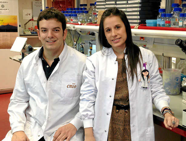 Alberto J. Schuhmacher e Isabel Hernández-Porras, investigadores del CNIO. 
