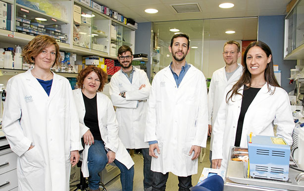 Grupo de Modelización de Terapias Antitumorales en Ratón, del Valle de Hebrón Instituto de Oncología 