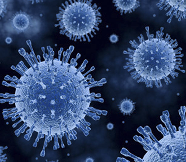 Helicobacter pilory, VPH, Epstein Barr y hepatitis C 