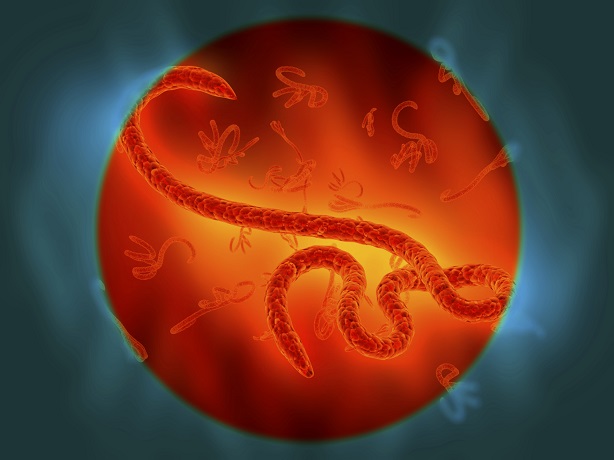 Infografía del virus del Ébola 