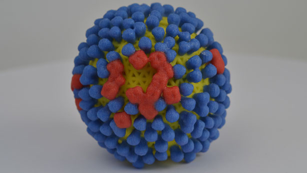 Virus de la gripe 