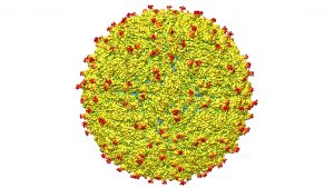 Virus de Zika