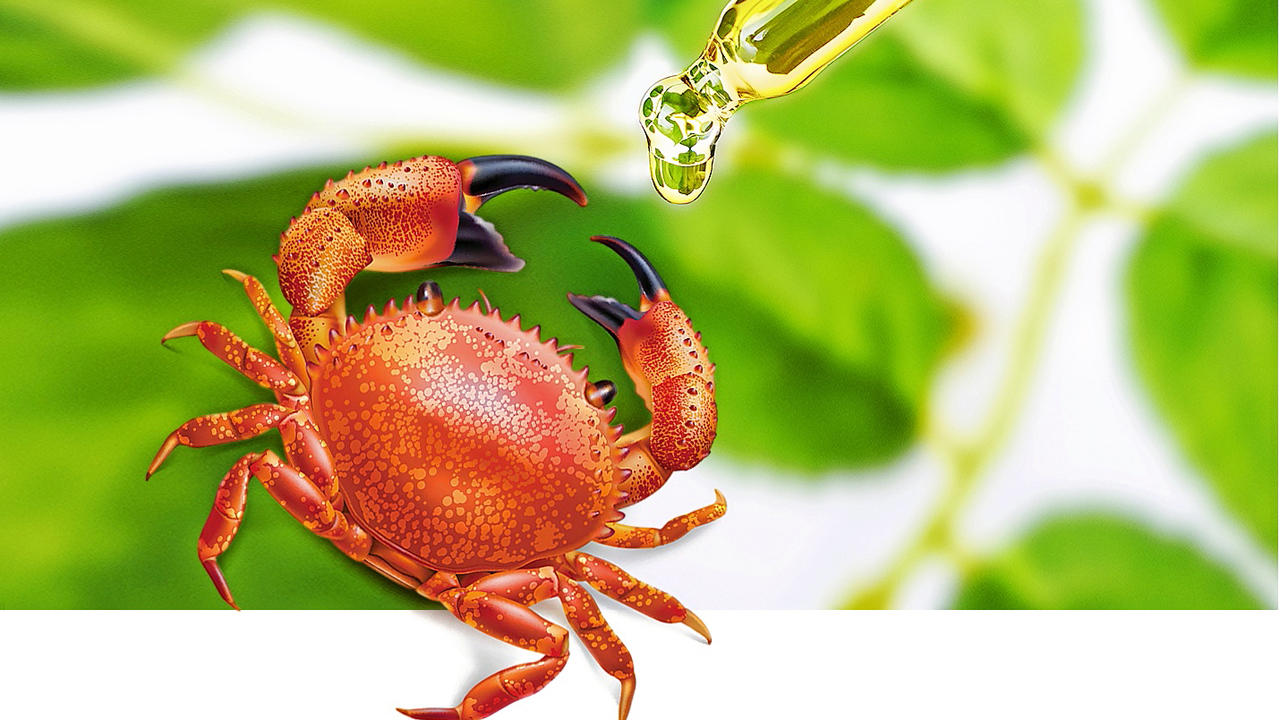 Dieta cetogenica cancer de pancreas sintomas