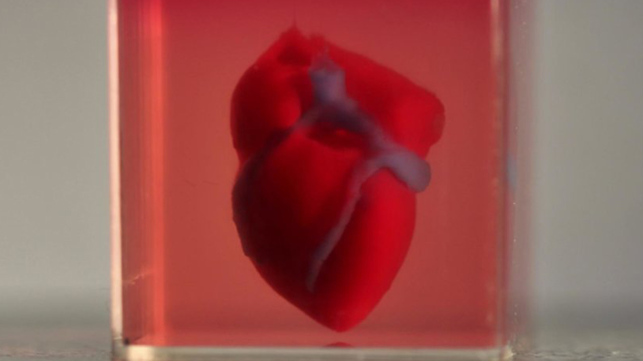 Corazón impreso en 3D.