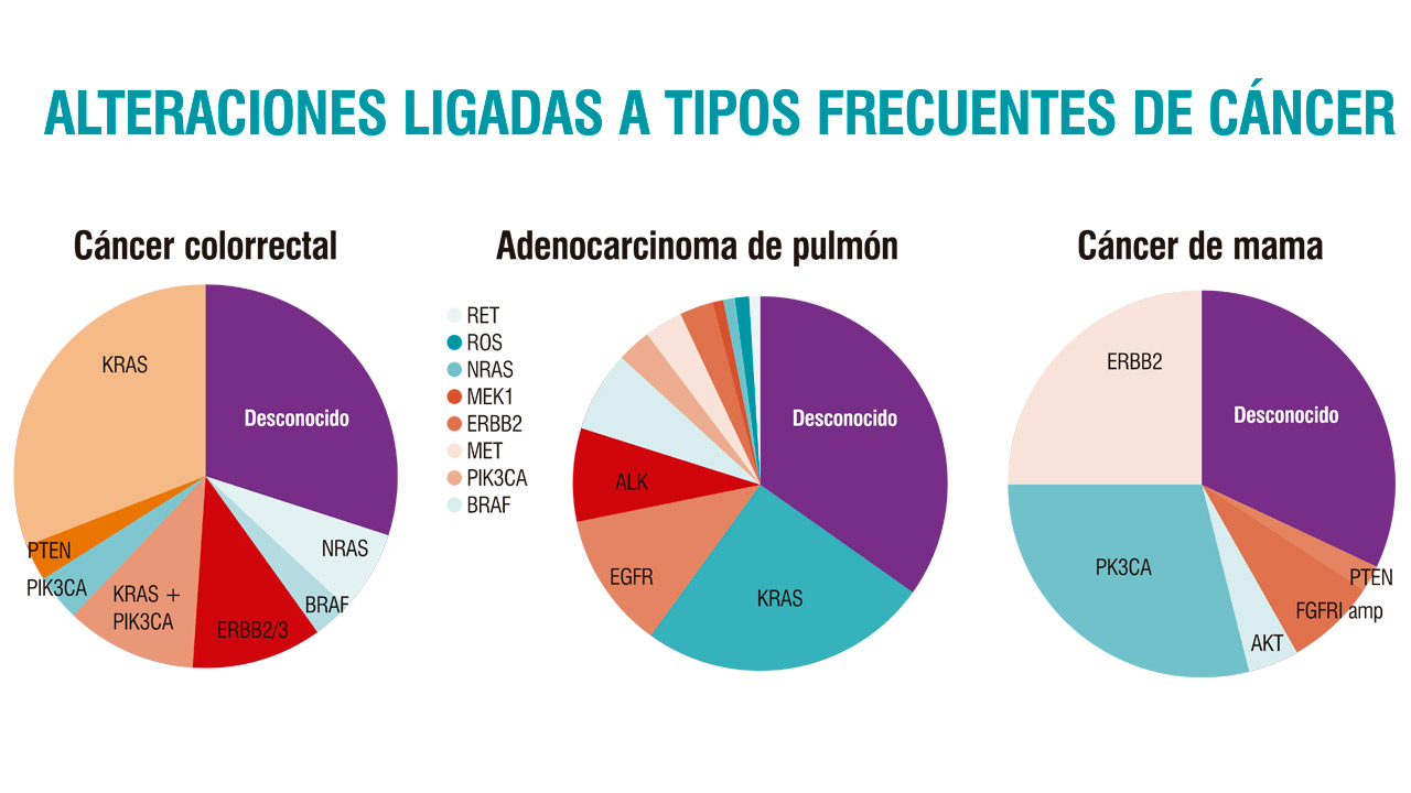 ALTERACIONES-LIGADAS-A-TIPOS-FRECUENTES-DE-CANCER-ok 