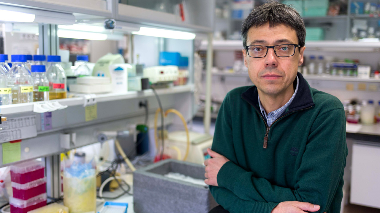 Felipe Pimentel Muiños en el Centro de Investigación del Cáncer, Instituto de Biología Molecular y Celular del Cáncer (CSIC-Universidad de Salamanca). 