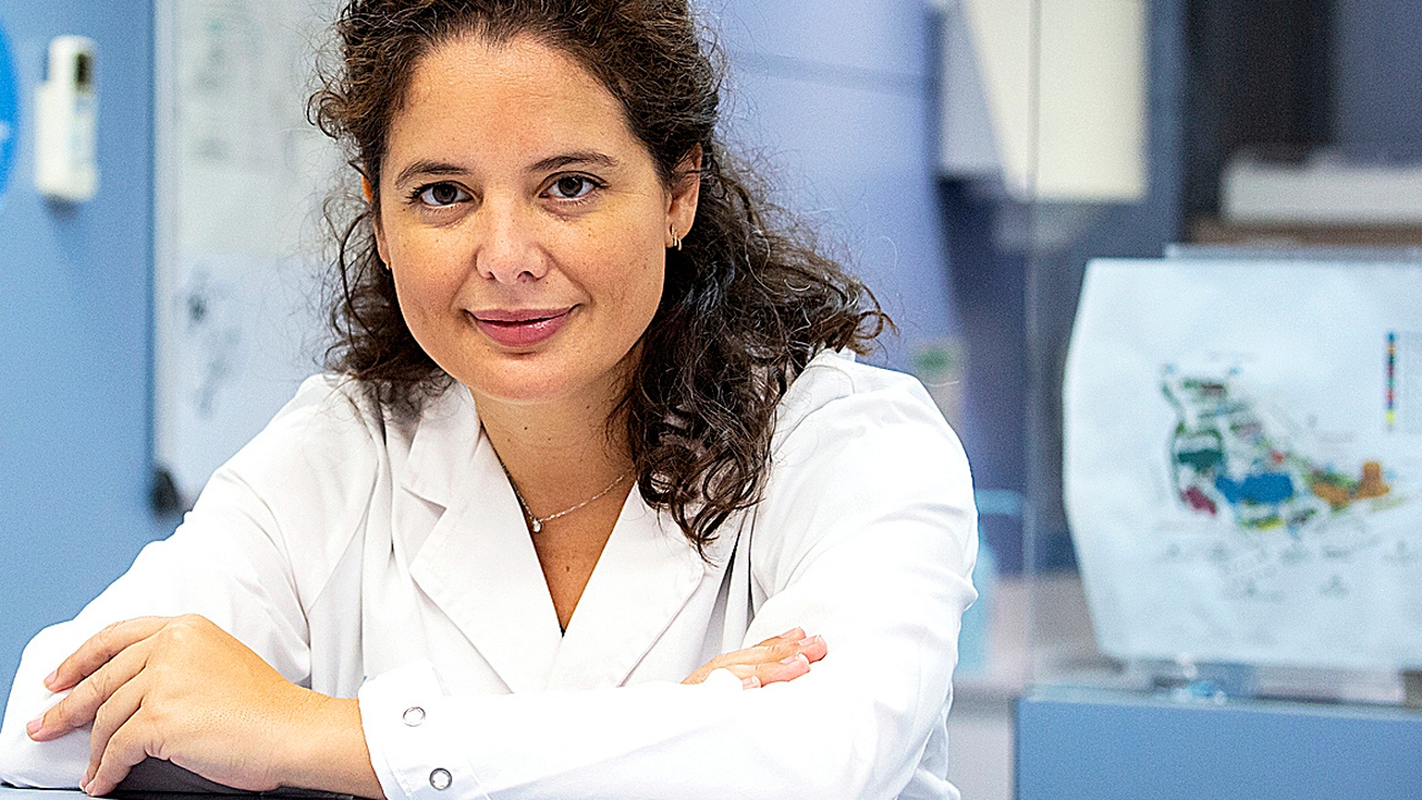 Elena Garralda, investigadora del VHIO, hace un recorrido por el desarrollo de moléculas que reforzarán el panorama oncológico. 