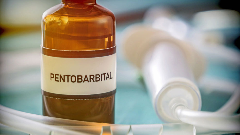 El pentobarbital se utiliza en las solicitudes de eutanasia. 