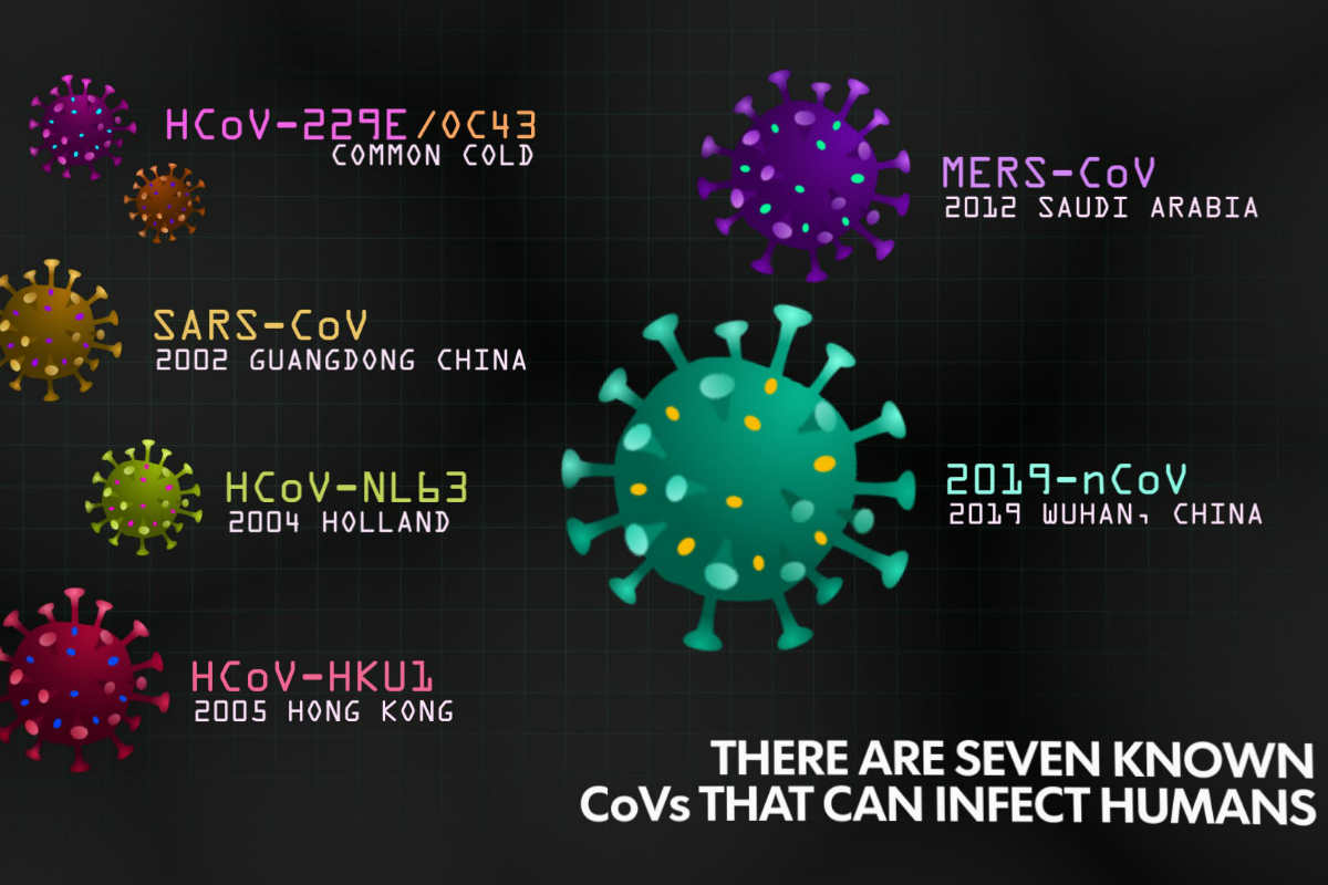 Dibujos de varios coronavirus 