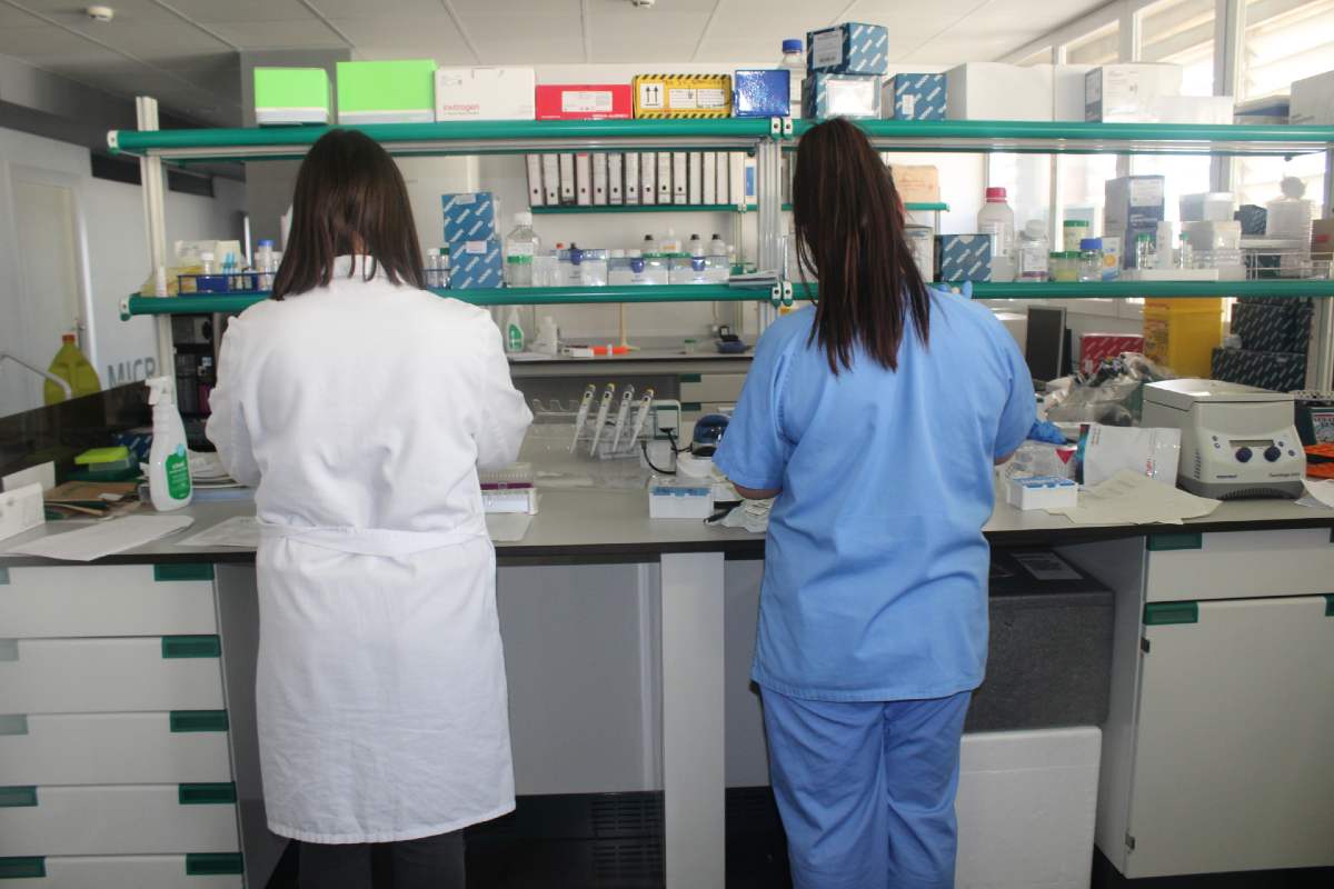 Dos investigadoras de espaldas trabajando en el Instituto de Investigación Sanitaria y Biomédica de Alicante. 