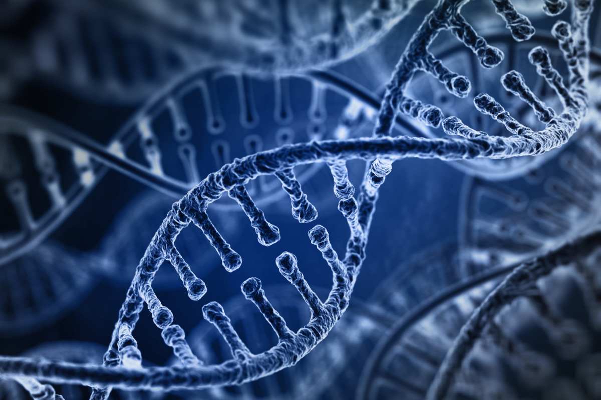 El análisis se realizará principalmente usando herramientas bioinformáticas que permiten analizar datos genómicos y epigenómicos previos