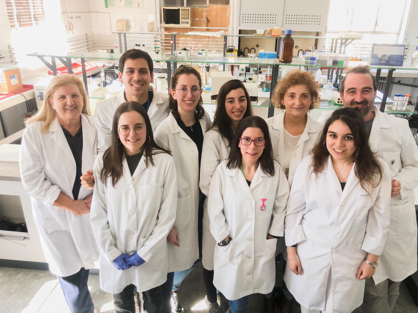 Grupo de investigación del CiberCV-UCM-IISGM y del IBGM-Hospital Clínico de Valladolid. 