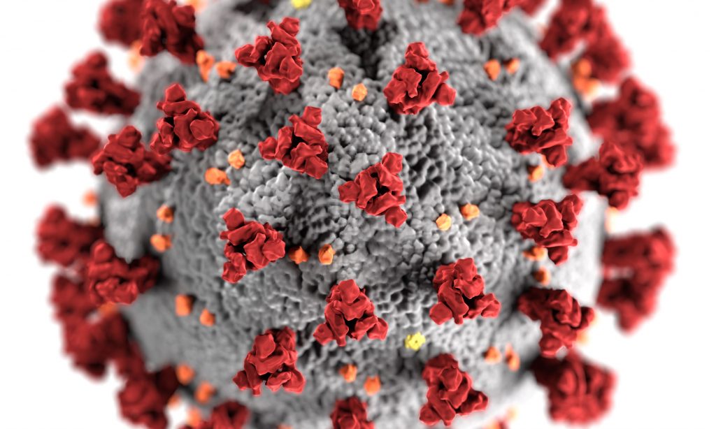 Los anticuerpos aislados de enfermos de Covid-19 pueden neutralizar el virus. 