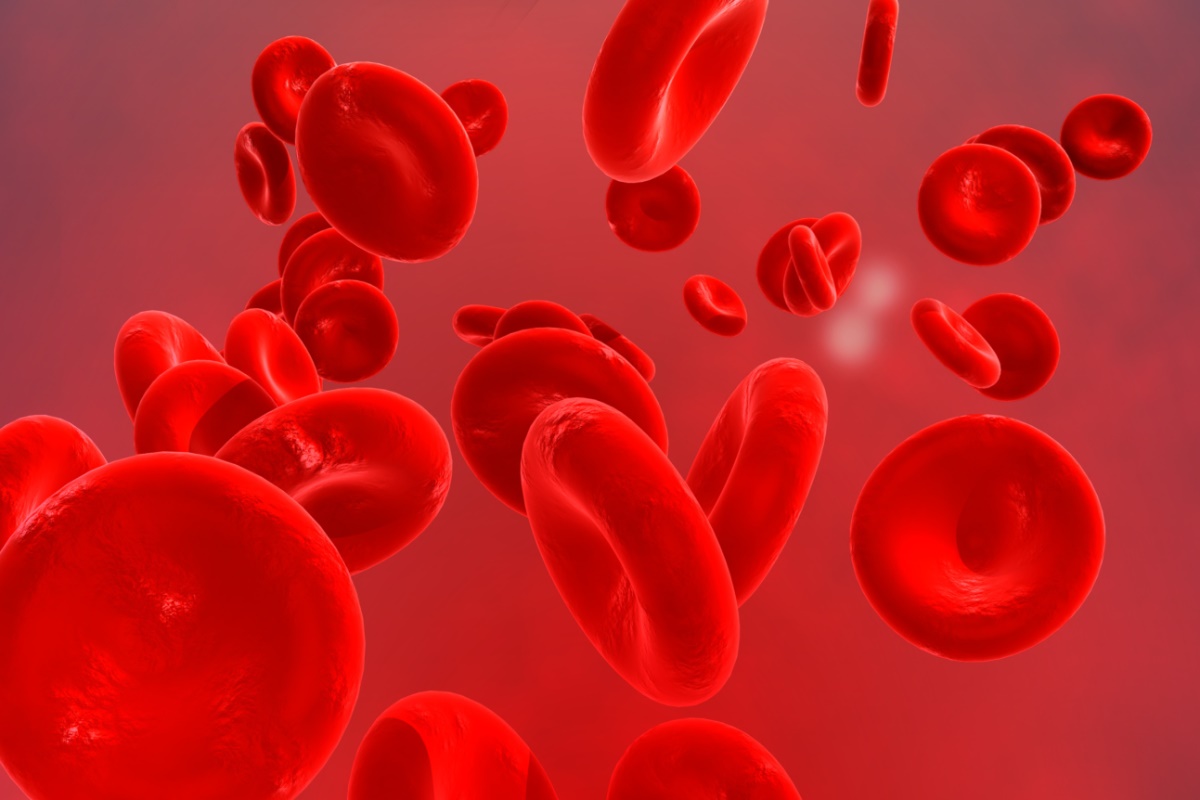 Dibujo de glóbulos rojos.
