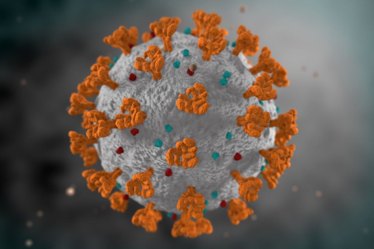 Virus del SARS-CoV-2. 