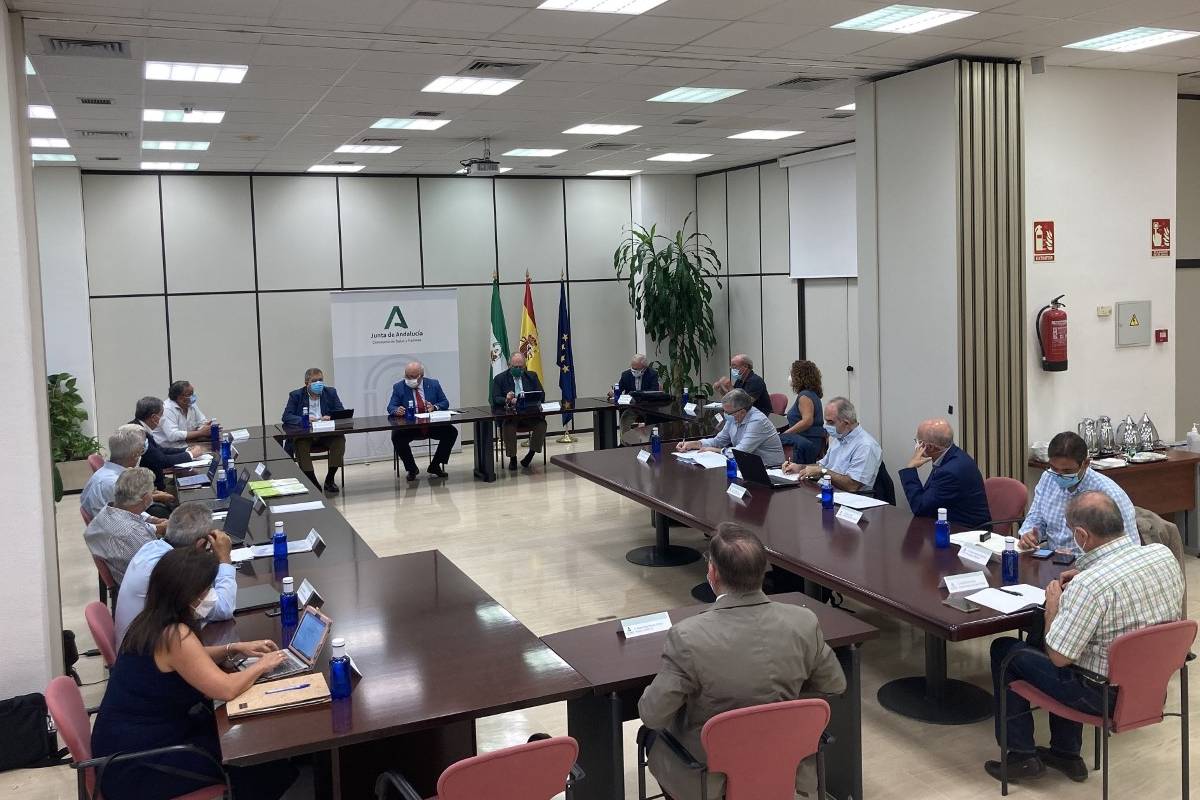 Reunión del Comité asesor externo para el balance de la gestión de la pandemia Covid-19 de Andalucía.