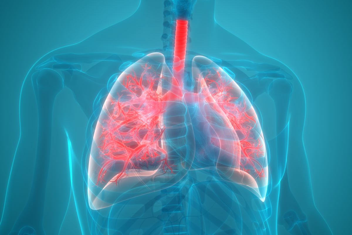 El cáncer de pulmón es uno de los de mayor mortalidad oncológica. 