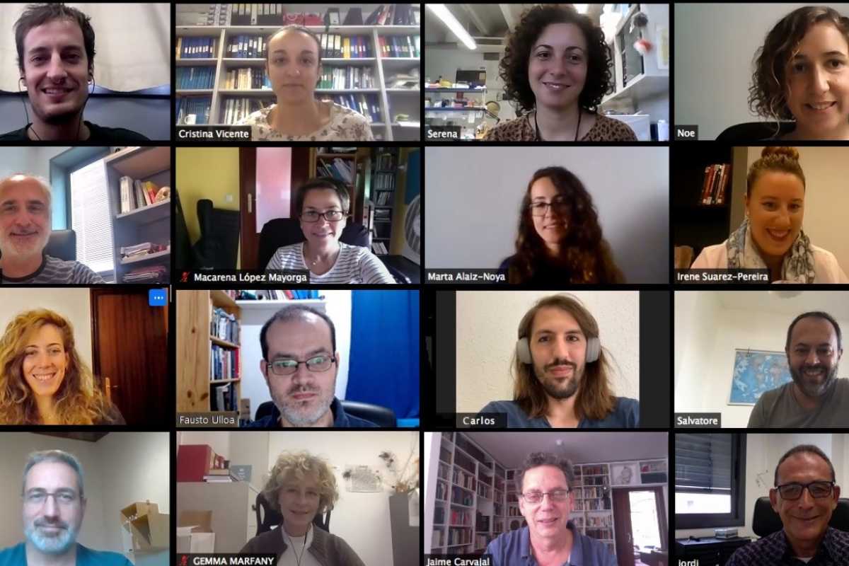 Reunión virtual del equipo de la UB, IBUB, CSIC y UPO.