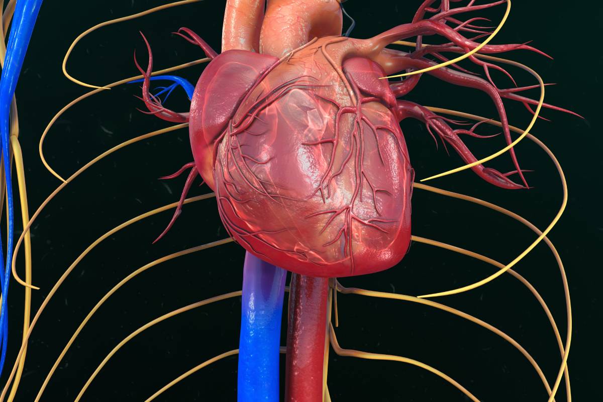 El estudio no halló relación entre el tipo de cardiopatía congénita y la gravedad de la covid-19.