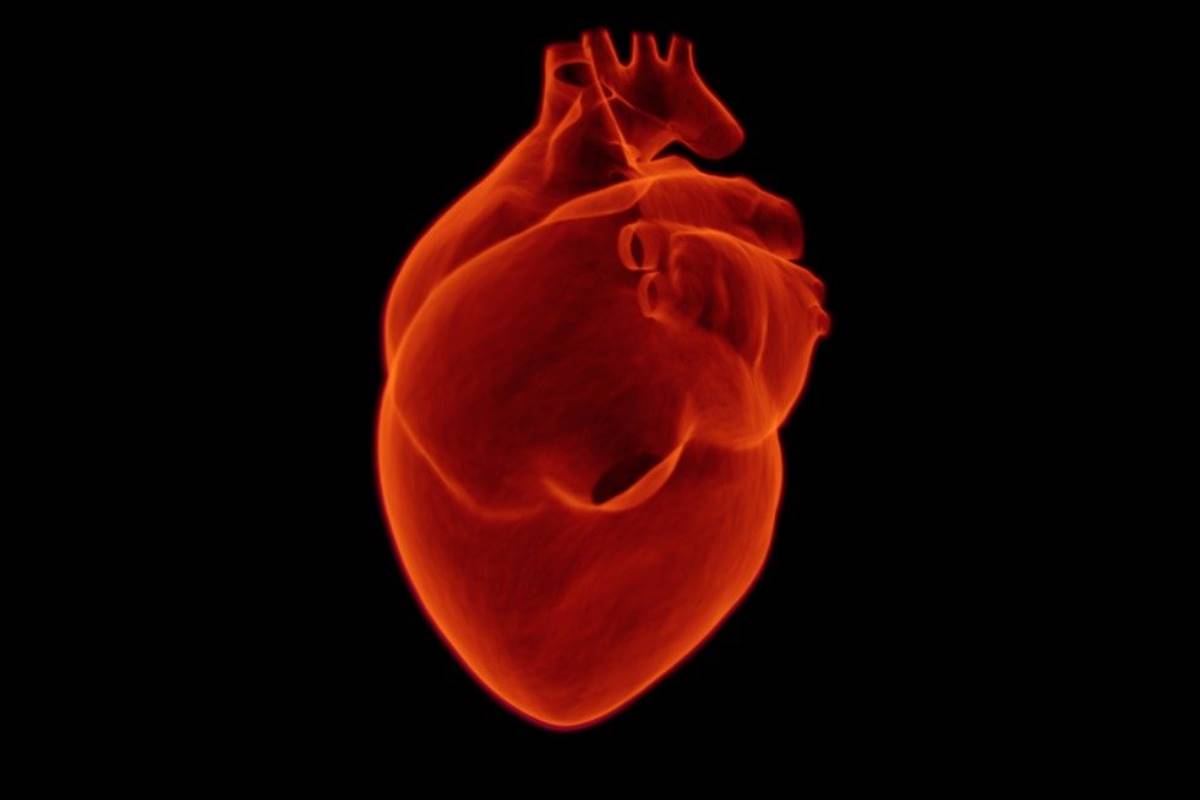Las enfermedades cardiovasculares son la principal causa de mortalidad en el mundo. 
