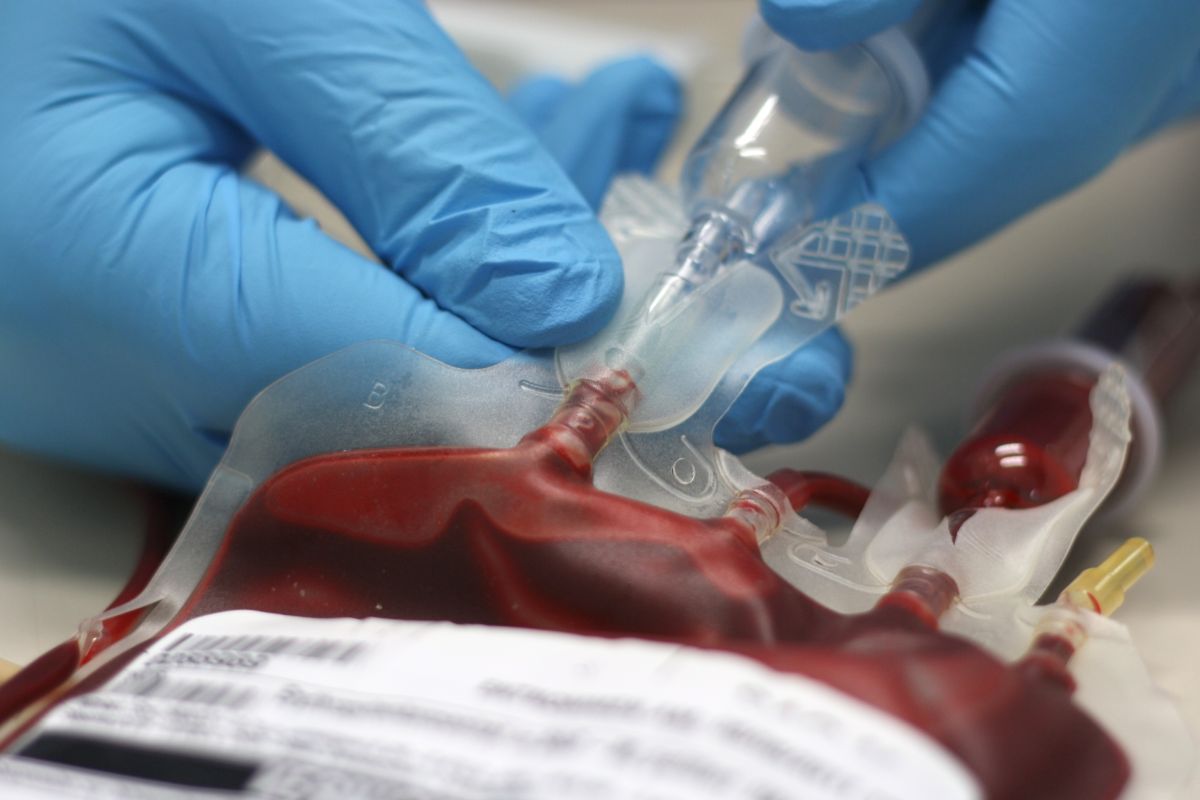 El Banco de Sangre de Extremadura aprovecha las donaciones para analizar la presencia de anticuerpos de la covid-19. 
