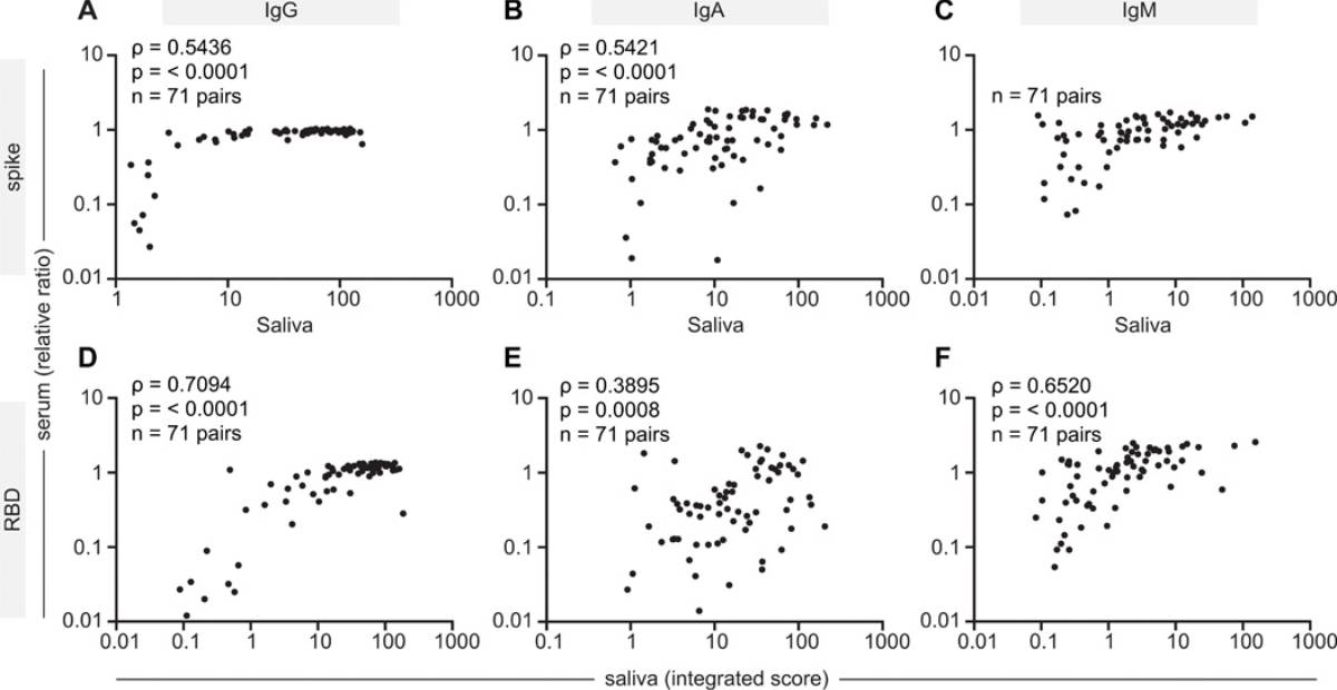 Correlación de IgG, IgA e IgM en sangre y saliva.