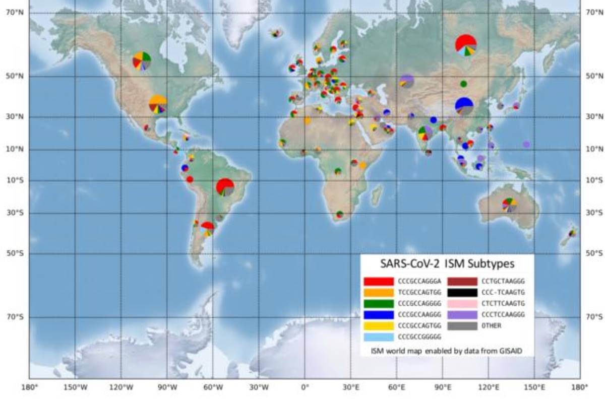 Mapa del mundo con los subtipos del SARS-CoV-2. 