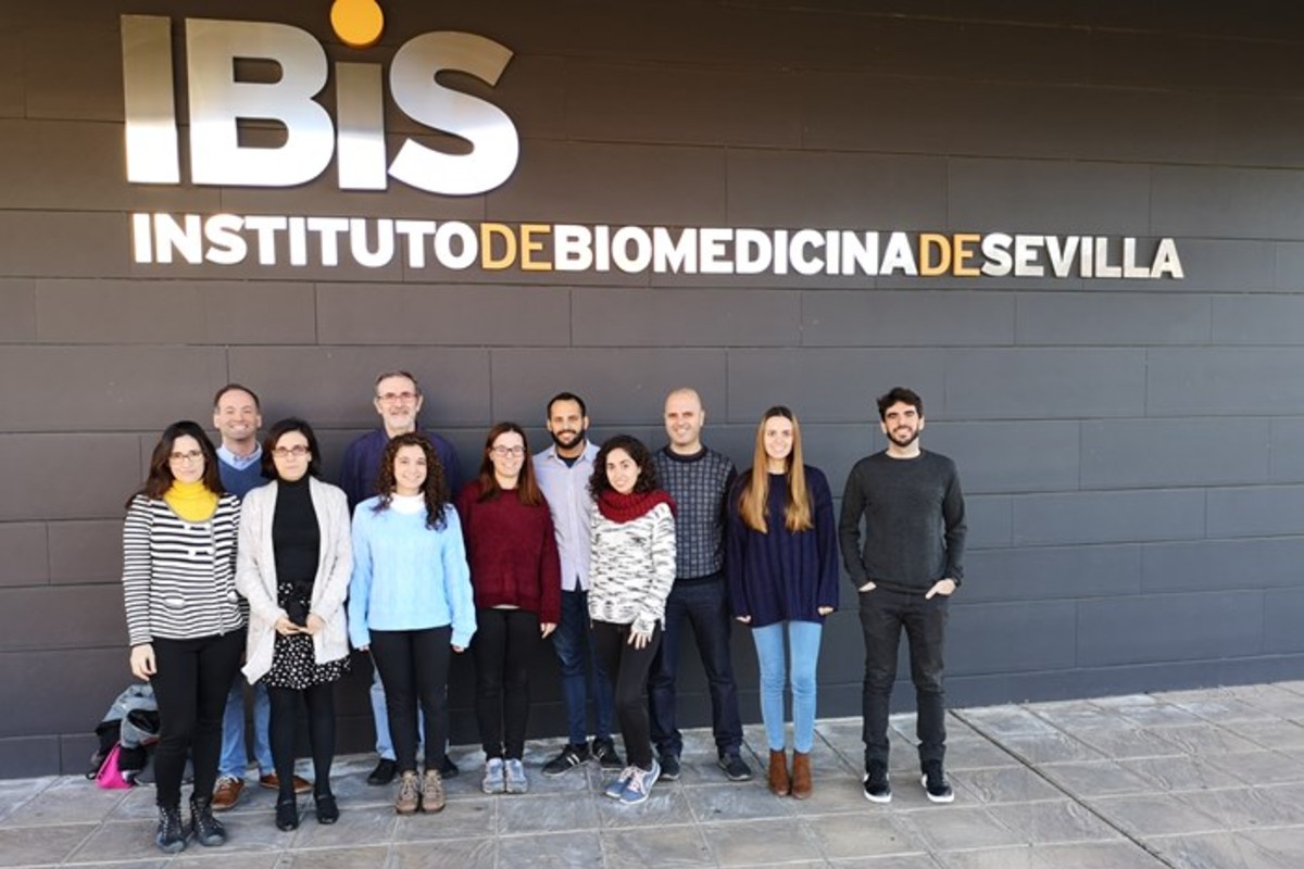 Equipo del CiberONC en el IBIS de Sevilla.