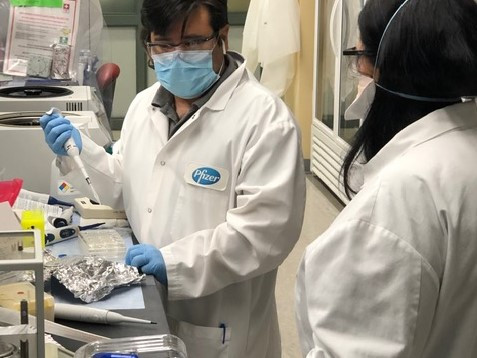 Parte del desarrollo de la vacuna se ha hecho en el laboratorio que Pfizer tiene en Pearl River (Estados Unidos).