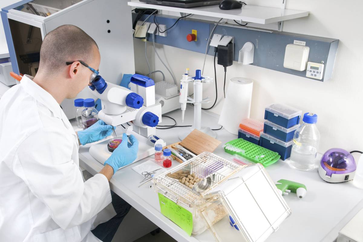 El Ministerio de Ciencia espera que con la modificación normativa se pueda dar más estabilidad a los investigadores 