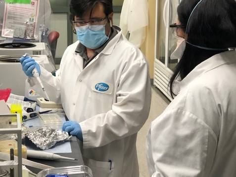 El laboratorio de Pfizer en Pearl River (Nueva York) está centrado en la I+D de vacunas.