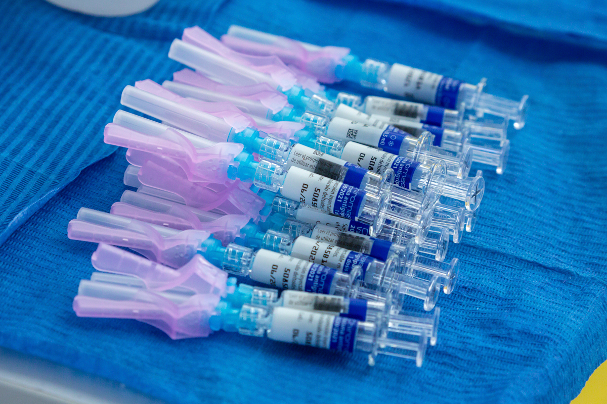 Viales de la vacuna gripe (FOTO: Jaume Cosialls). 
