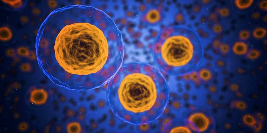 Una nueva tecnología del CSIC permite distinguir las células sanas de las enfermas. 
