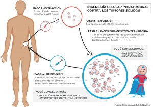 Gráfico sobre la técnica de ingeniería celular que ha desarrollado el equipo del CIMA. 