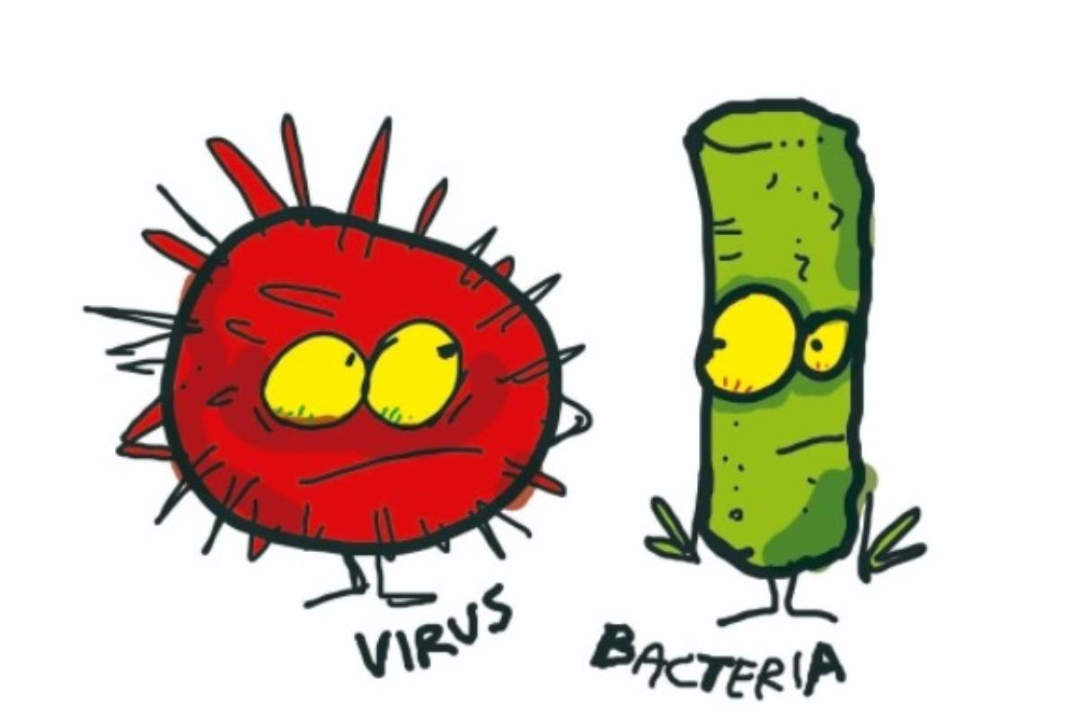 Una de las ilustraciones de ÃÃ±igo Ansola para el libro 'AntibiÃ³ticos vs Bacterias'.