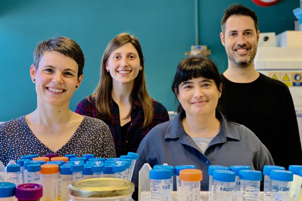 DÃ lia RaÃ¯ch ReguÃ©, Jordana MuÃ±oz Basagoiti, Nuria Izquierdo-Useros, Daniel PÃ©rez Zsolt.