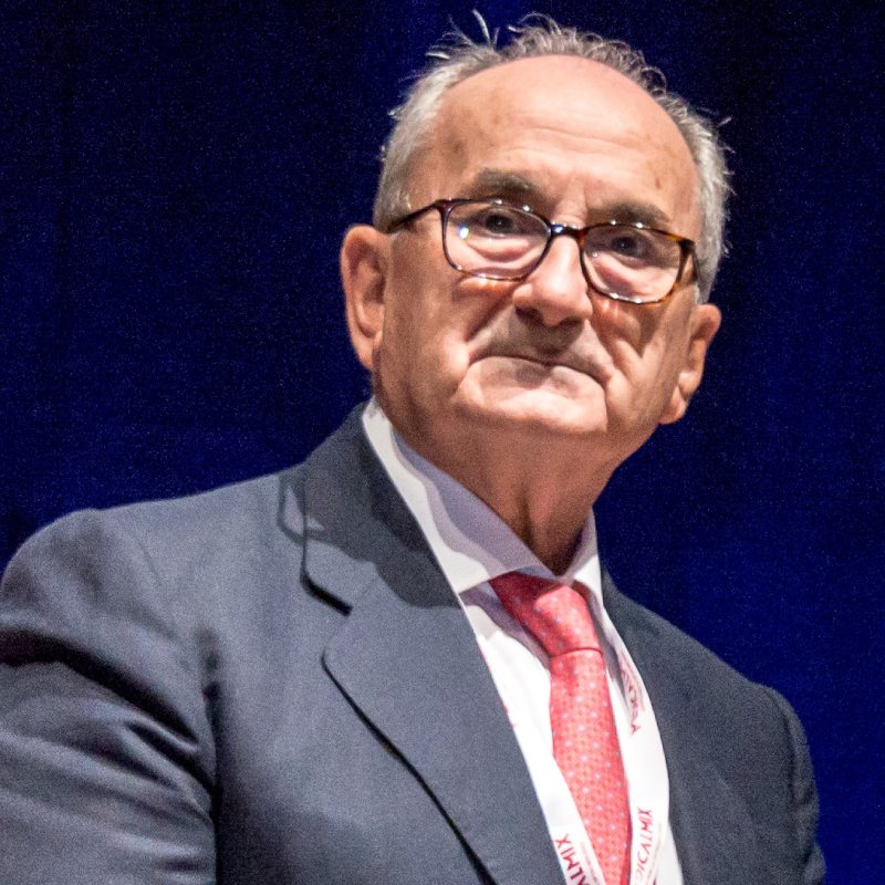 Antonio PiÃ±ero Bustamante, presidente de la Sociedad EspaÃ±ola de OftalmologÃa (SEO). 