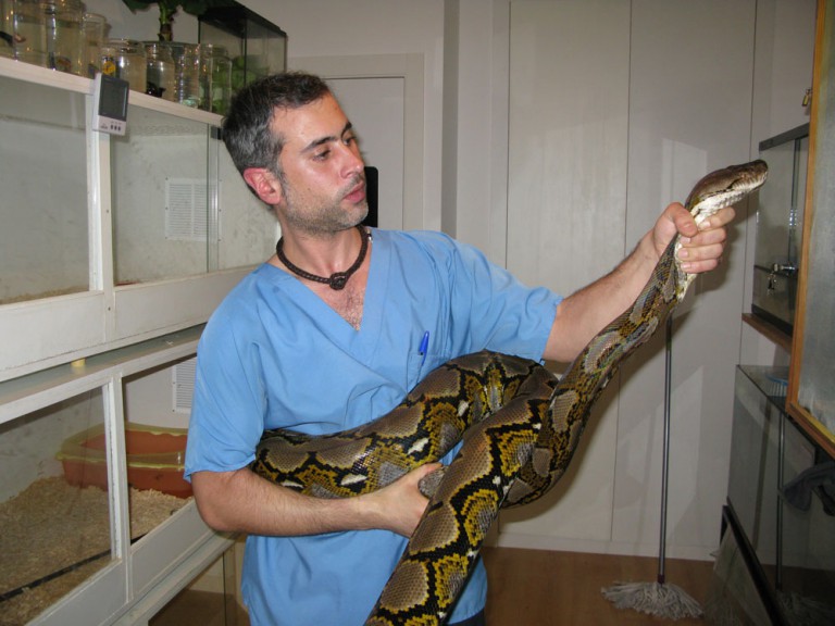 El veterinario Carlos Ouro, especializado en animales exóticos.