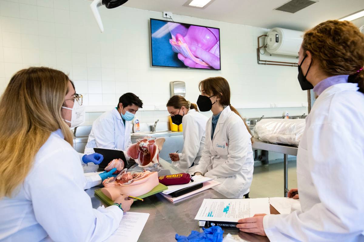 Clase sobre el aparato digestivo en la Sala de Disección de la Facultad de Medicina de la Universidad Autónoma de Madrid (Foto: Mauricio Skrycky)