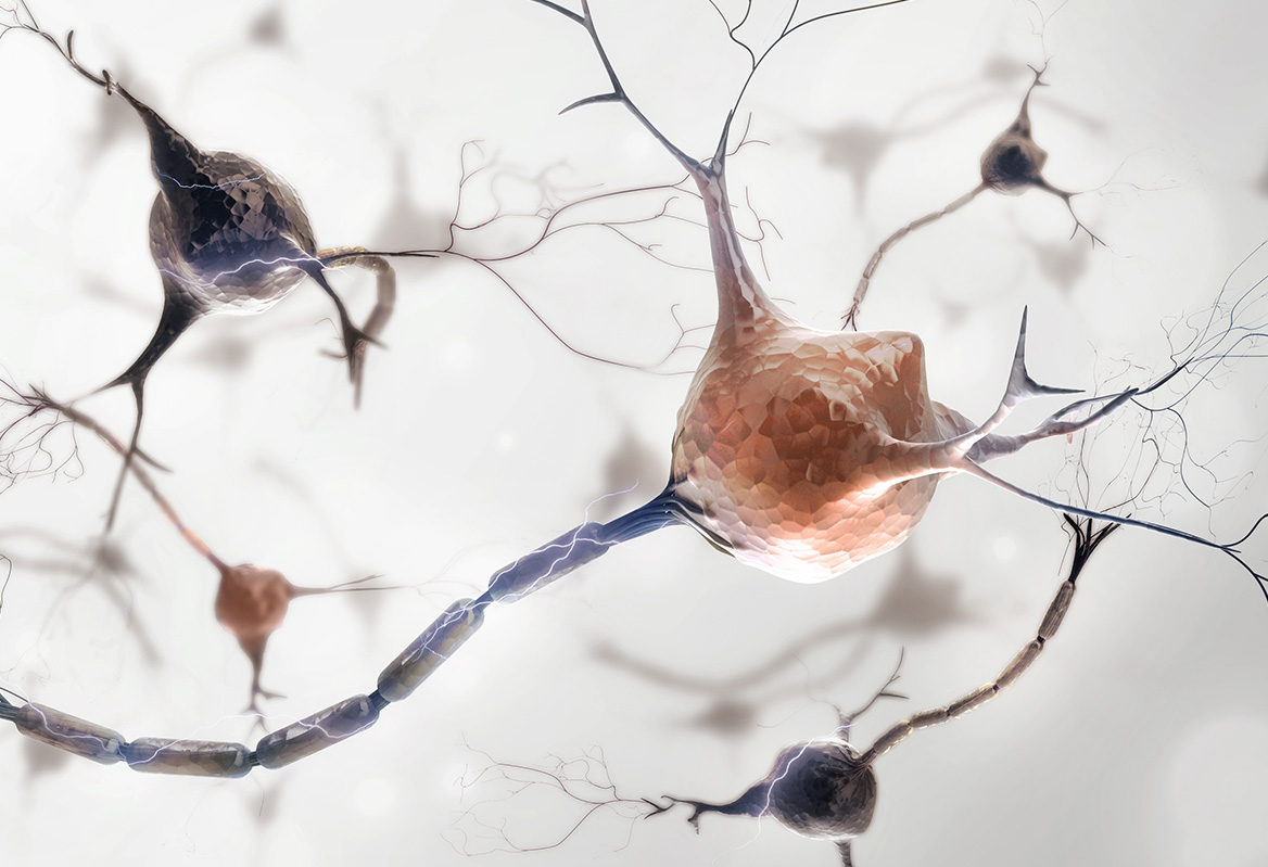 Neurona estrÃ©s oxidativo
