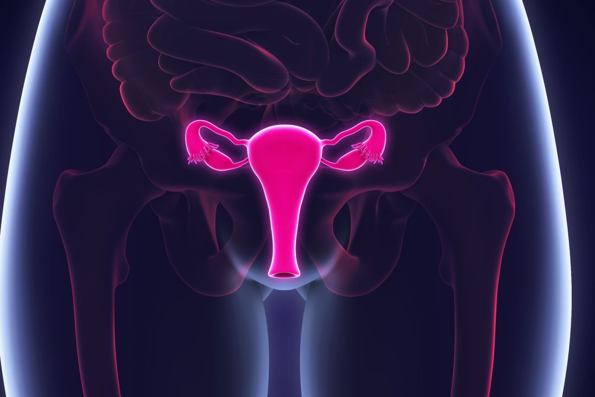 El cáncer de endometrio es el segundo ginecológico más frecuente en pa�ses desarrollados. Foto: DM. 