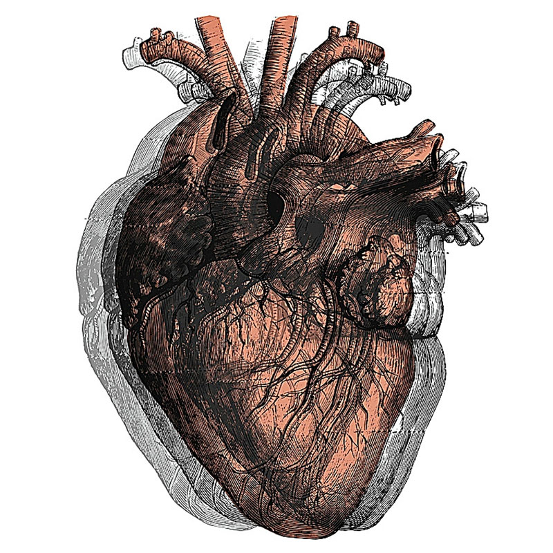 Haber pasado la covid-19 incrementa el riesgo de padecer enfermedades cardiovasculares.