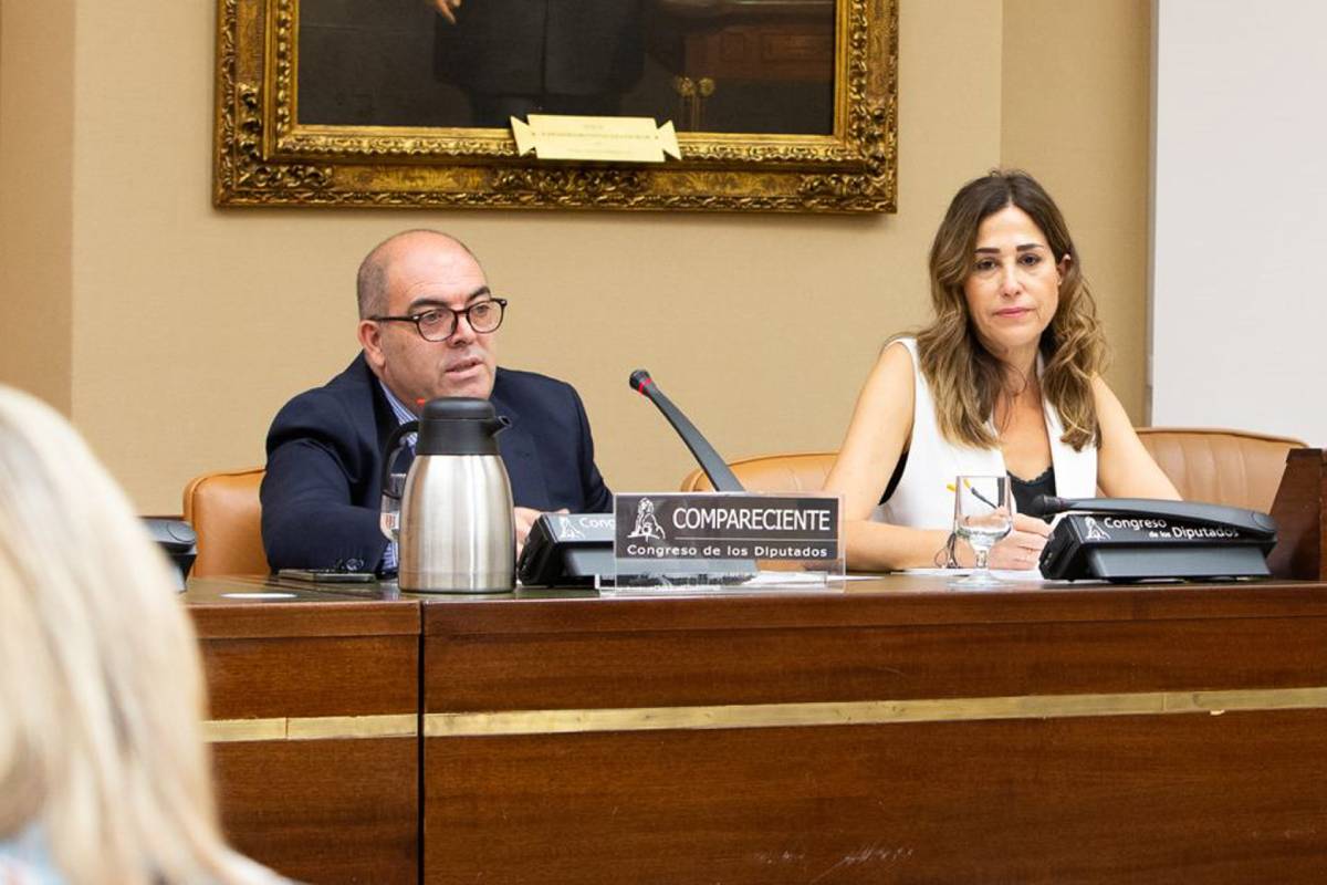 Lorenzo Amor Acedo, presidente de ATA, durante su intervención en el Congreso, con Rosa María Romero Sánchez, presidenta de la Comisión de Sanidad. Foto: CONGRESO.