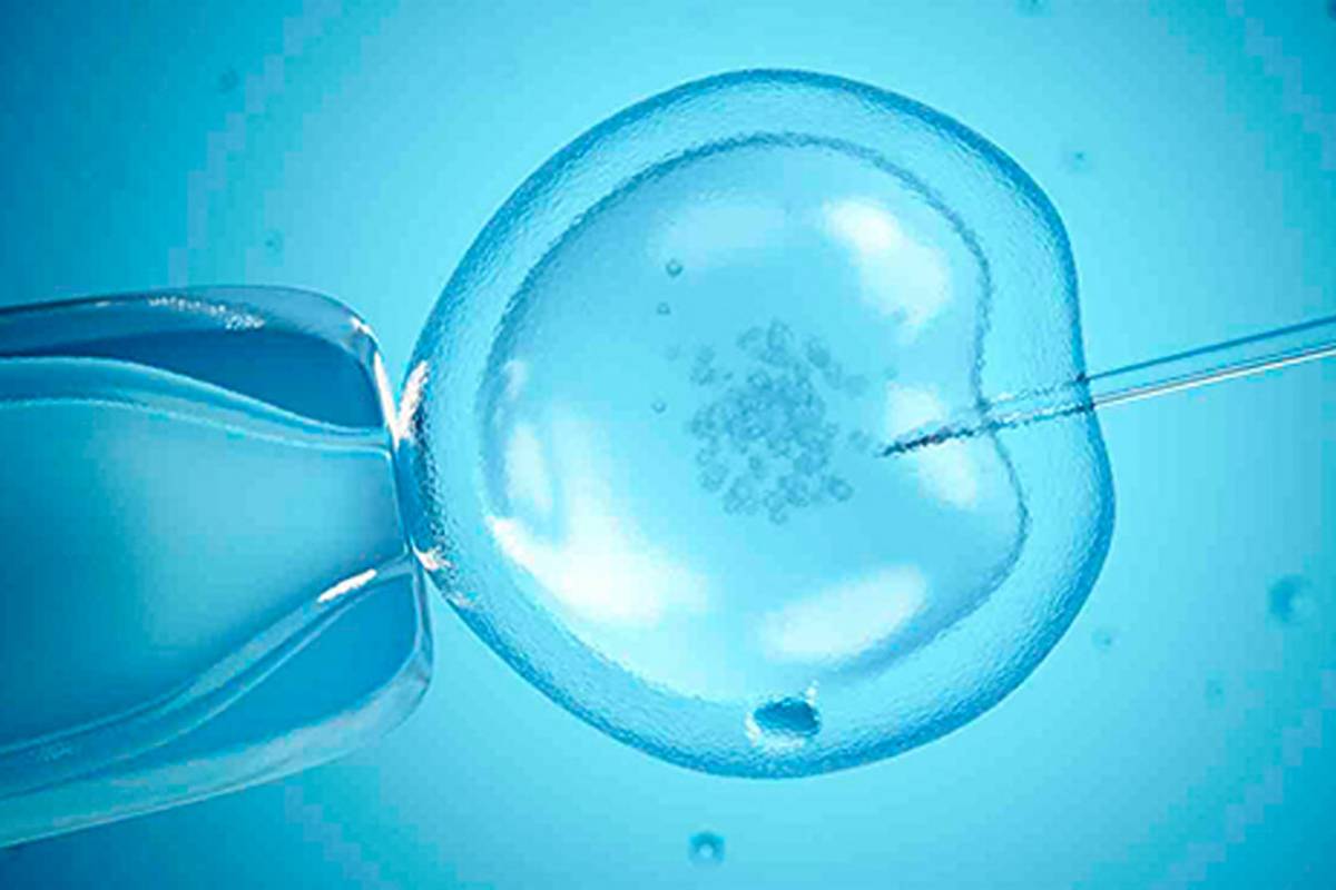 Uno de cada diez nacimientos en España son gracias a las técnicas de reproducción asistida, según ha informado Luis Martínez, presidente de la Sociedad Española de Fertilidad (SEF).