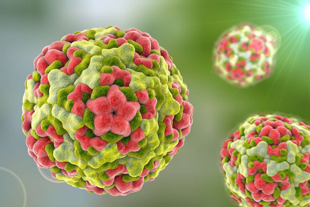 Los enterovirus suelen causar s�ntomas respiratorios no graves, pero el D68 puede afectar más seriamente al SNC. Foto. DM. 