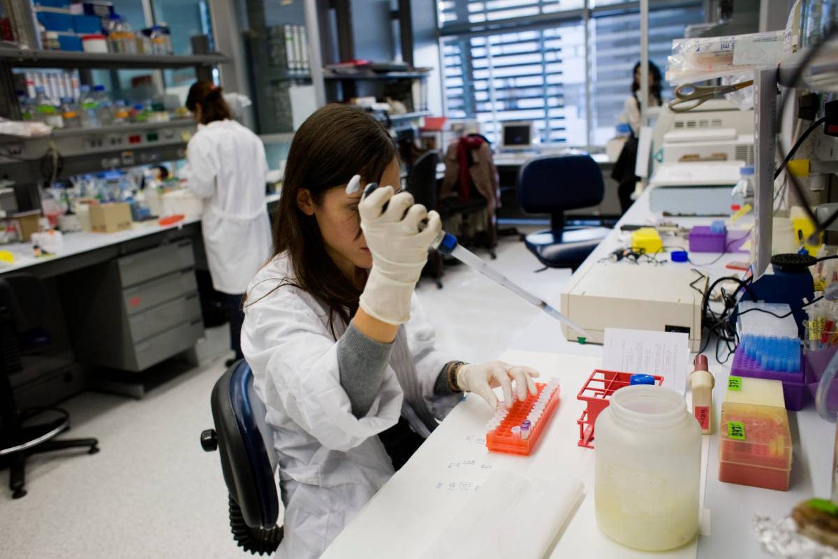 Los investigadores biosanitarios denuncian la ausencia de una carrera profesional consolidada y la falta de estabilidad laboral. Foto: UNIVERSIDAD DE BARCELONA.
