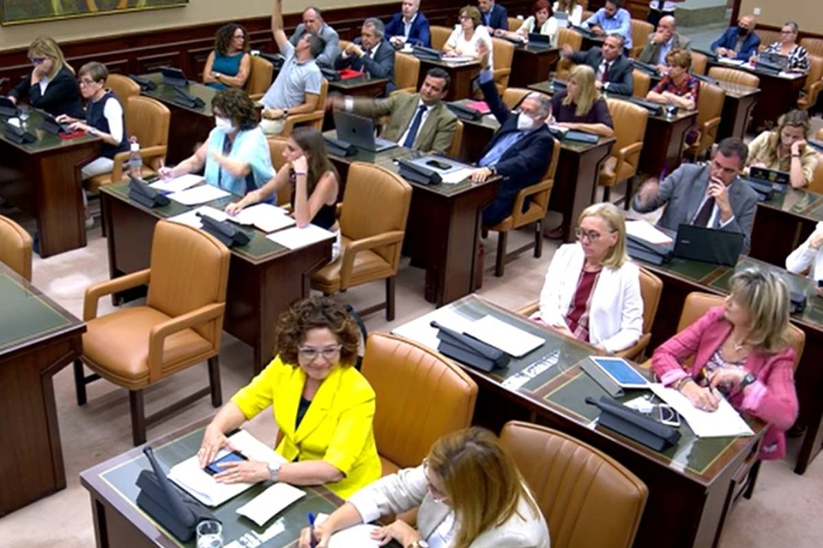 Un momento de la votación en la Comisión de Sanidad del Congreso.