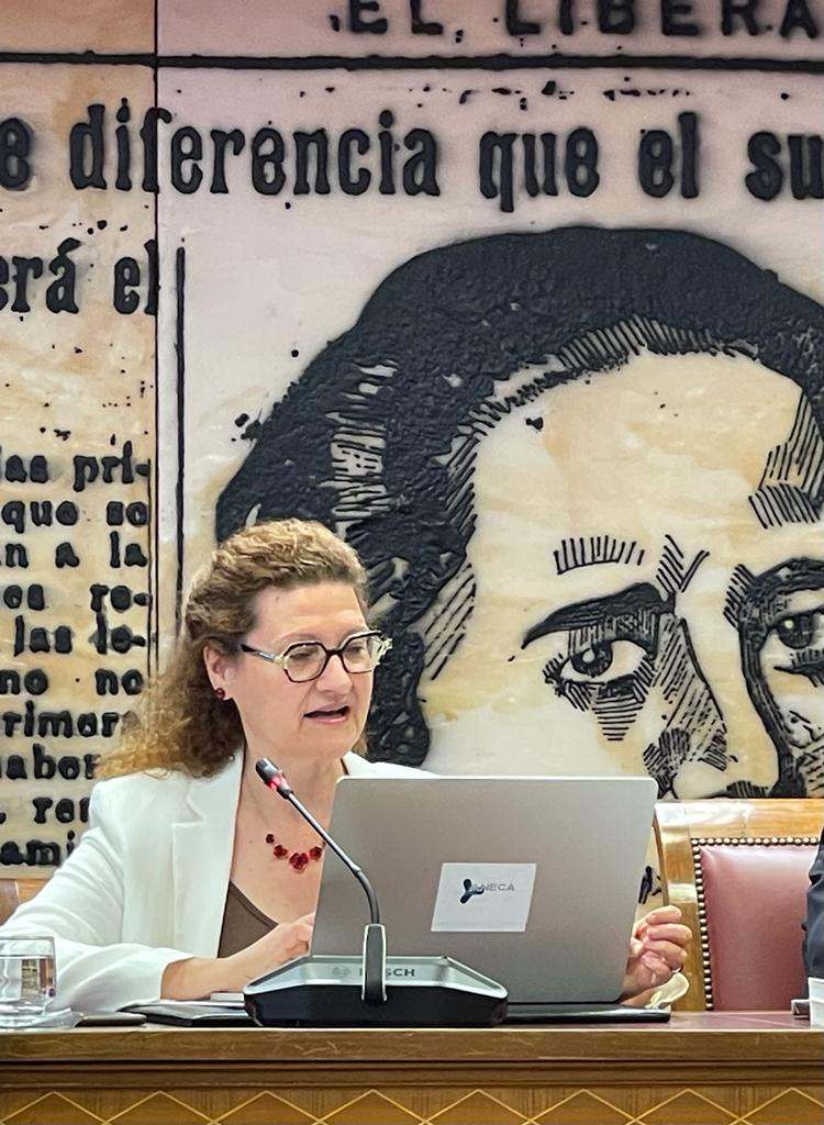 Mercedes Siles, durante su comparecencia en el Senado. Foto: ANECA.