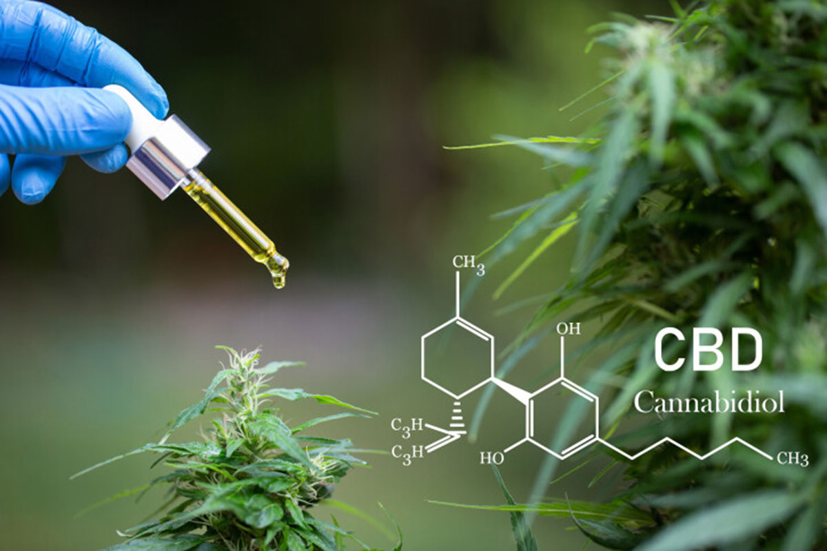 El informe sobre el uso medicinal del cannabis fue debatido y votado por la Comisión de Sanidad del Congreso a principios de esta semana, donde se rechazó su elevación al Pleno.