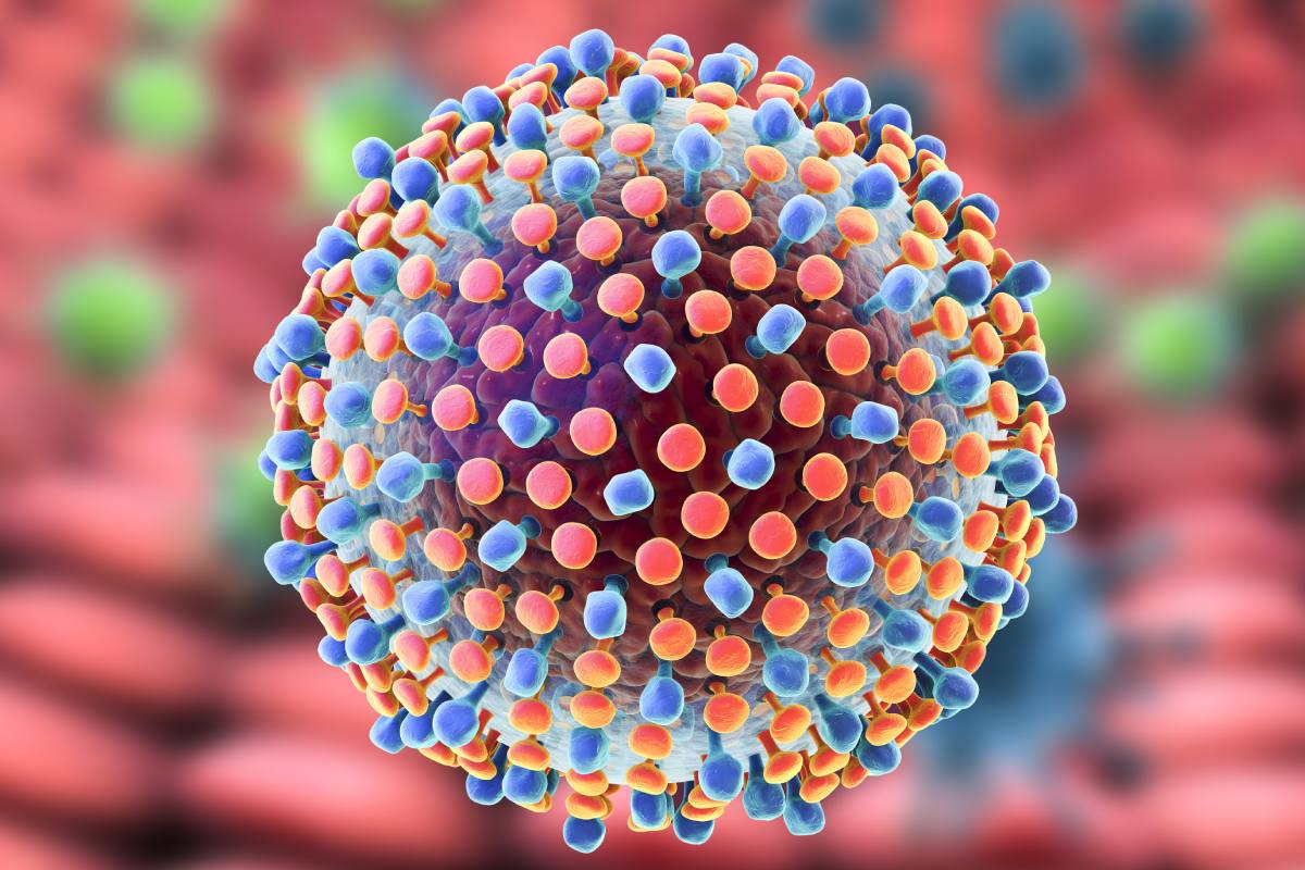 Modelo de virus de la hepatitis C, ilustración 3D. 